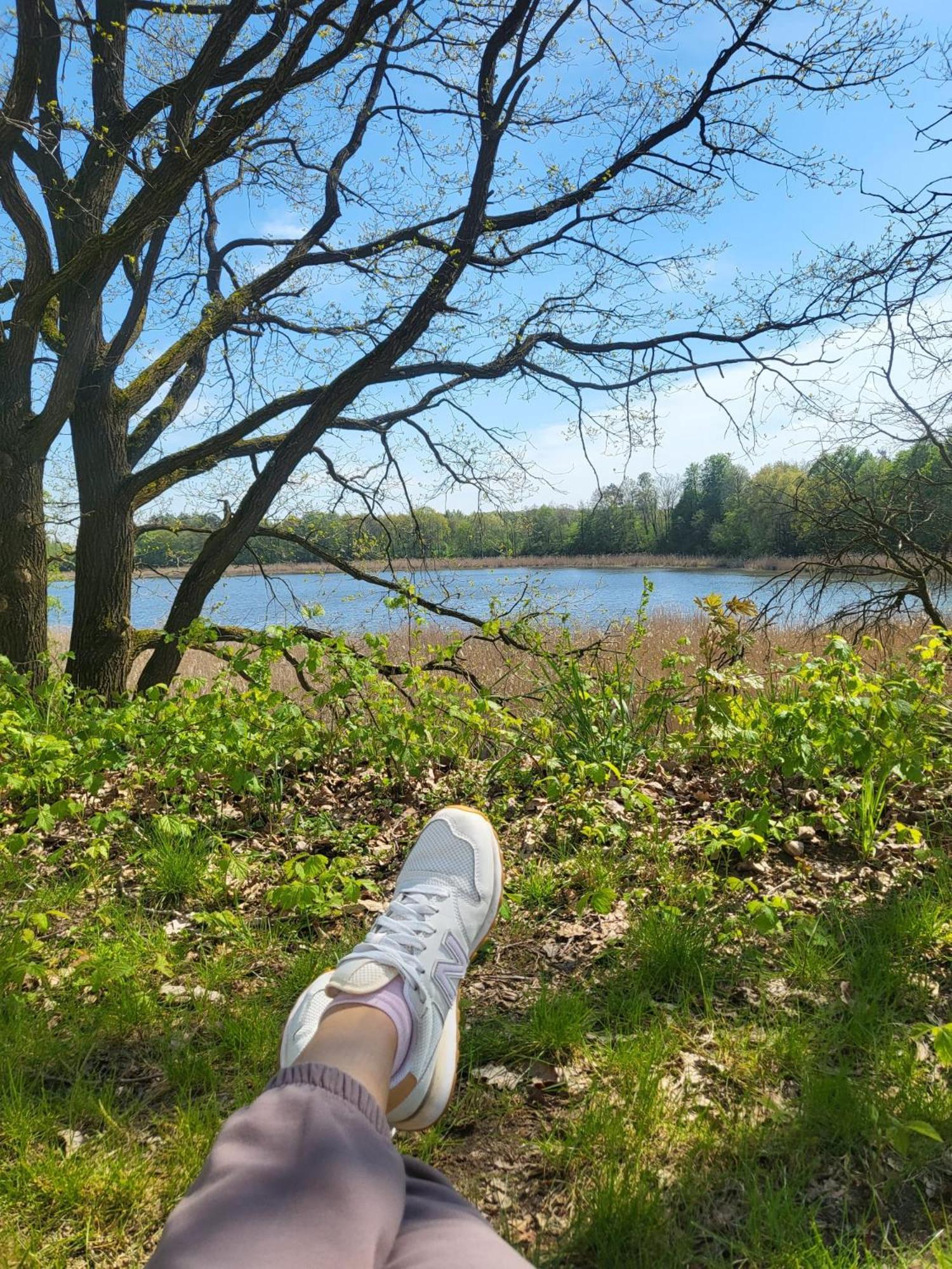 Przystan Natura Iława 外观 照片