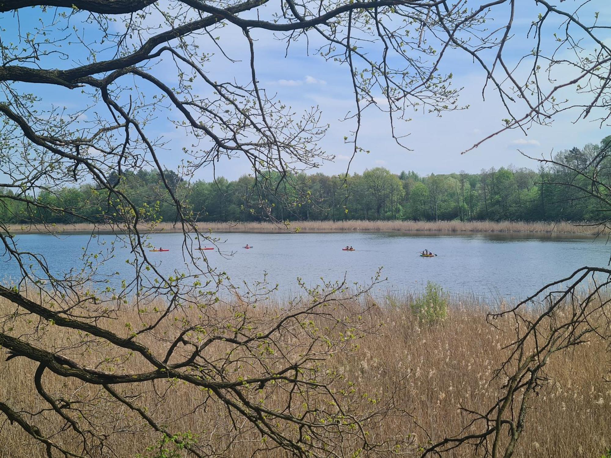 Przystan Natura Iława 外观 照片